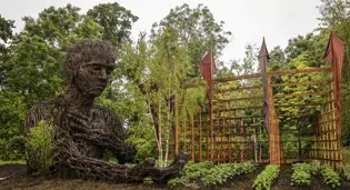 Bord Bia Bloom Garden Feature