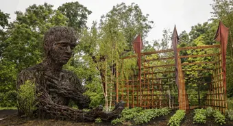 Bord Bia Bloom Garden Feature