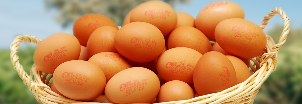 Belview eggs basket