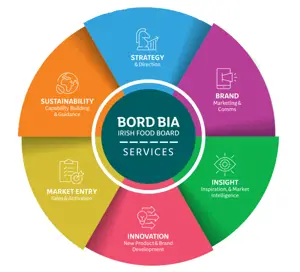 Circular infographic showing Bord Bia Services arranged around a central hub. At the centre of the graphic is a dark teal circle containing the text “BORD BIA IRISH FOOD BOARD SERVICES”. Surrounding the centre are six coloured segments forming a circular wheel, each representing a service cluster and marked with a line-style icon. The wheel ilillustrates the organisation's service offering across six interconnected areas: Strategy & Direction, Brand Marketing & Communications, Insight Inspiration & Market Intelligence, Innovation New Product & Brand Development, Market Entry Sales & Activation, and Sustainability Capability Building & Guidance.
