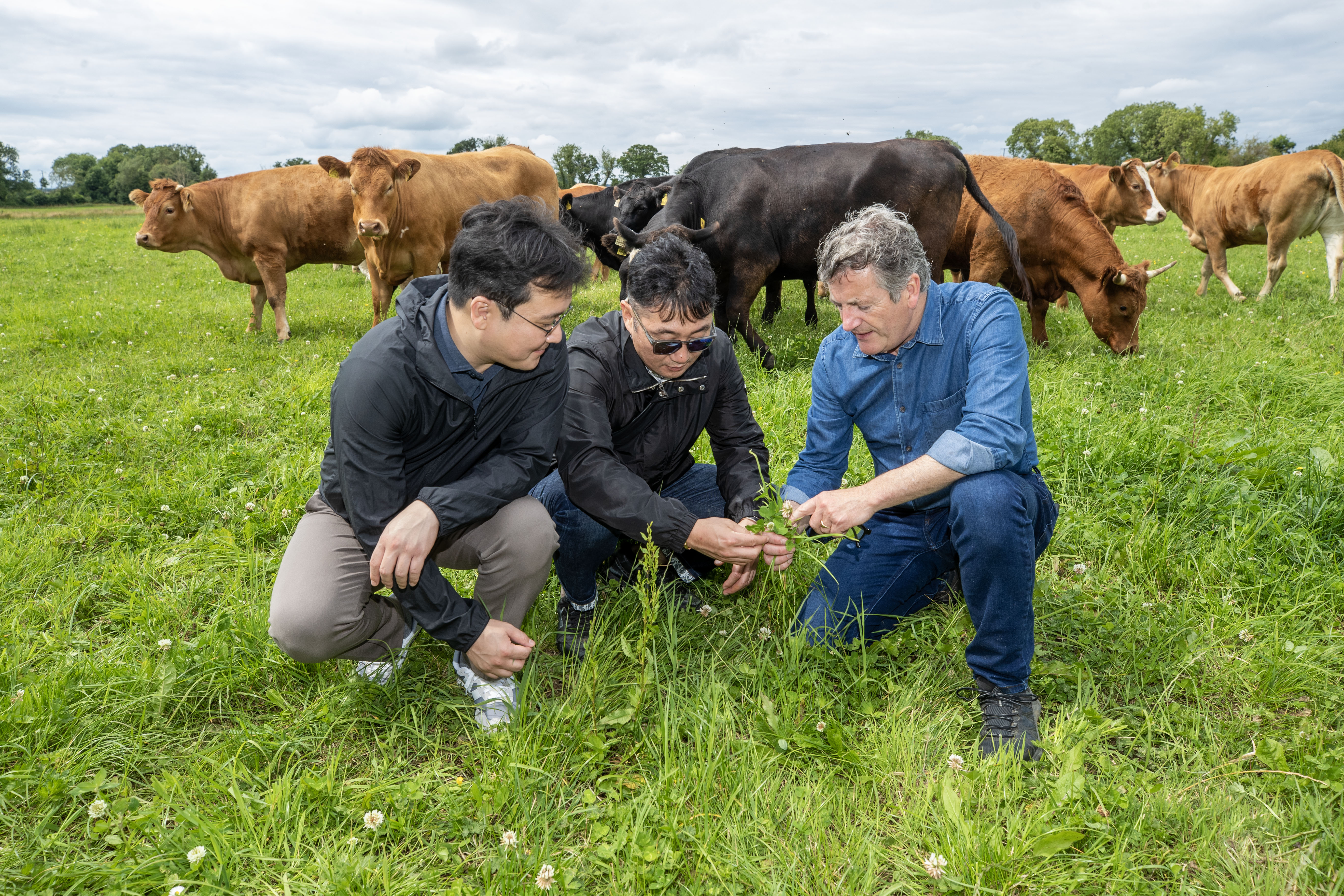 Korean buyers interacting with farmer