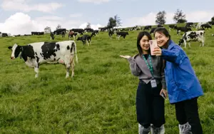 EU Dairy Inward Study Visits