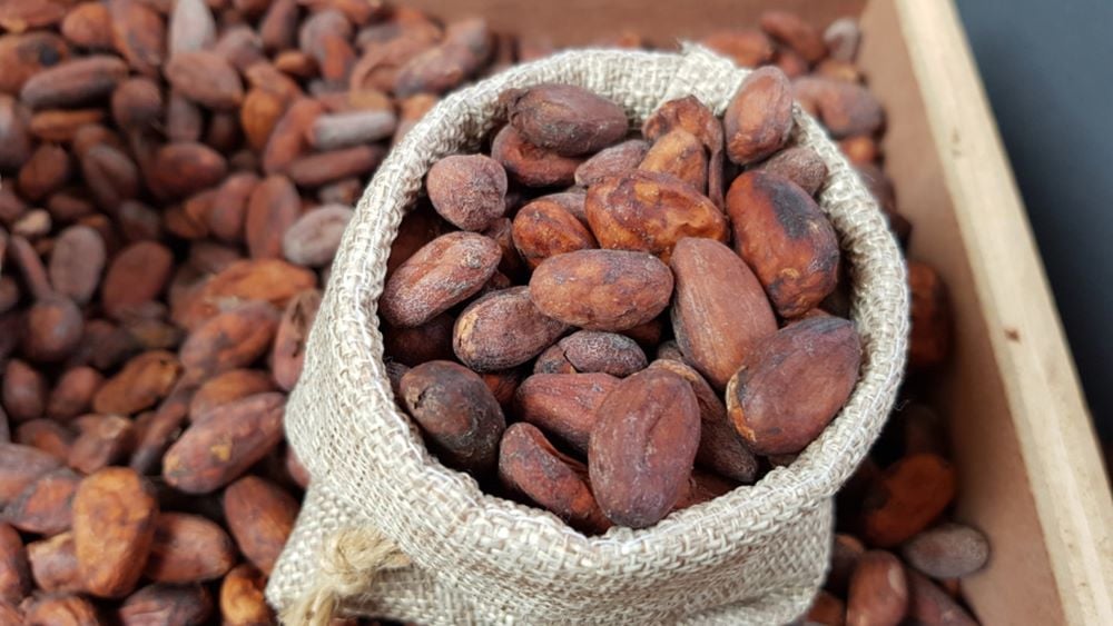 Brown cacao beans inside a burlap sack, sitting on a larger pile of cacao beans.