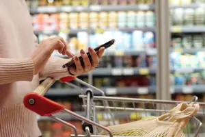 Hands with a mobile phone, poised on a supermarket trolley