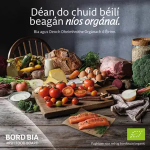 Organic Irish salmon in a bowl being held. Text on image reads "Déan do chuid Béalaí beagáin níos orgánaí"