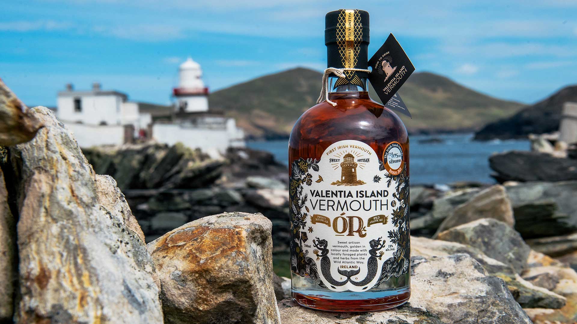 Valentia Island Vermouth sitting on some rocks beside the sea, with a lighthouse visible in the background