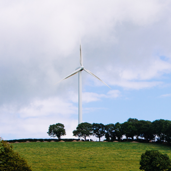 wind turbine in field