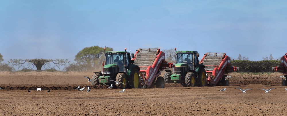 Two tractors ploughing a field
