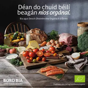 Organic Irish salmon in a bowl being held. Text on image reads Déan do chuid béilíbeagán nios orgánaí