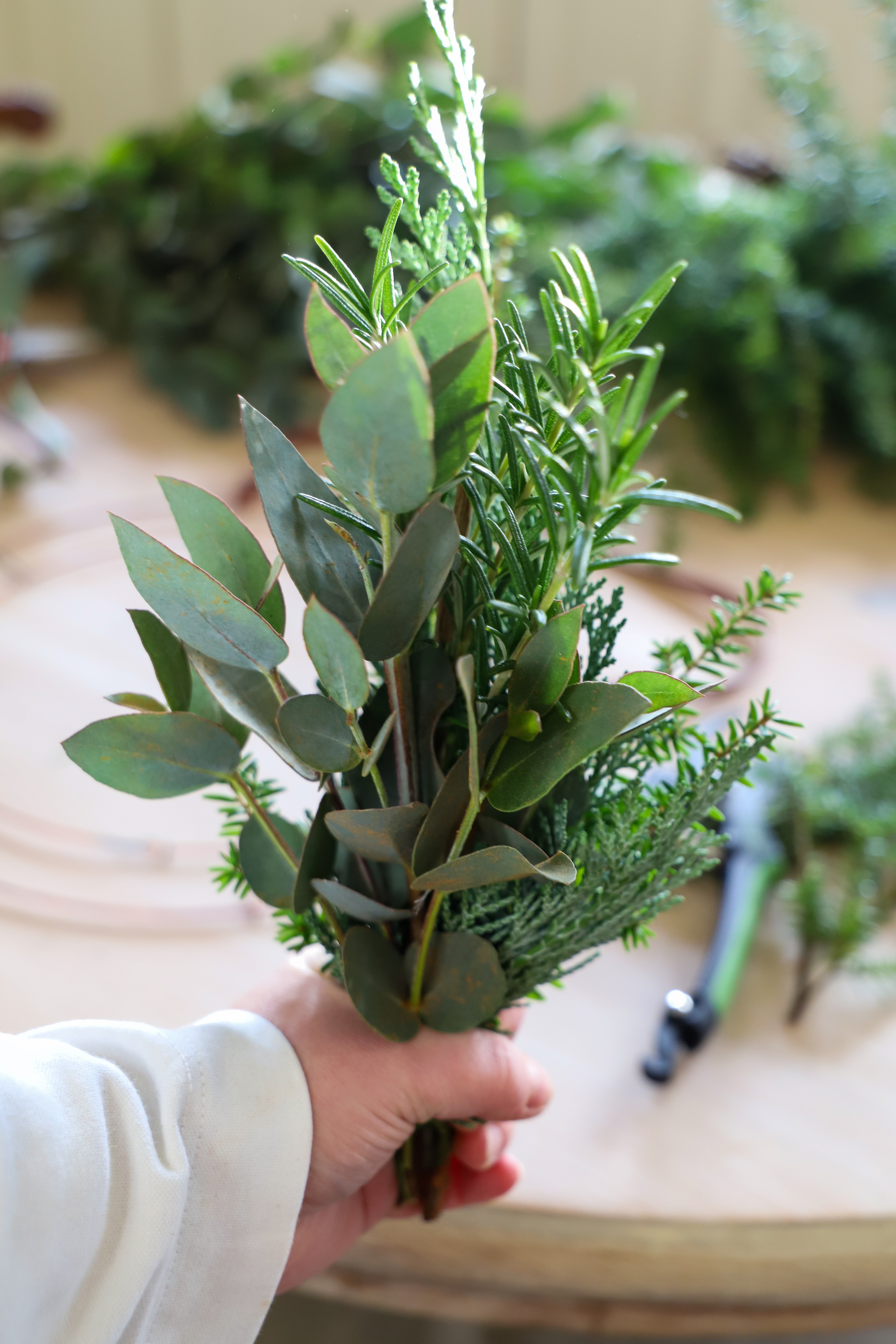 Hand holding green foliage 