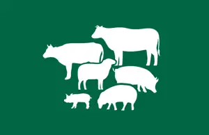 Certified Quality Assurance Members List