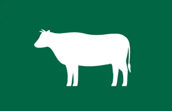Cattle Price Dashboard