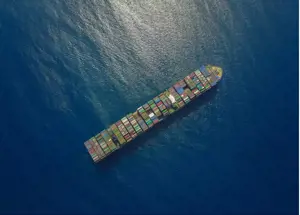 Supply Chain Mentoring