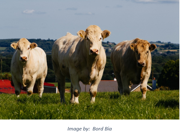 Meat Market Seminar img3.PNG