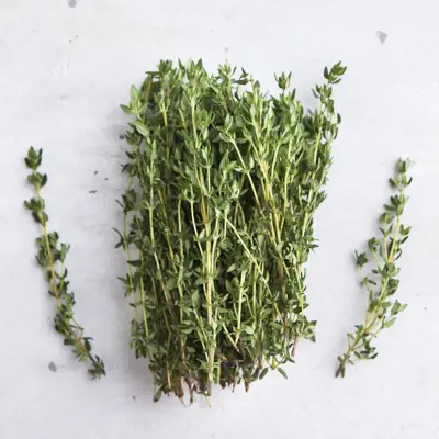Herbs