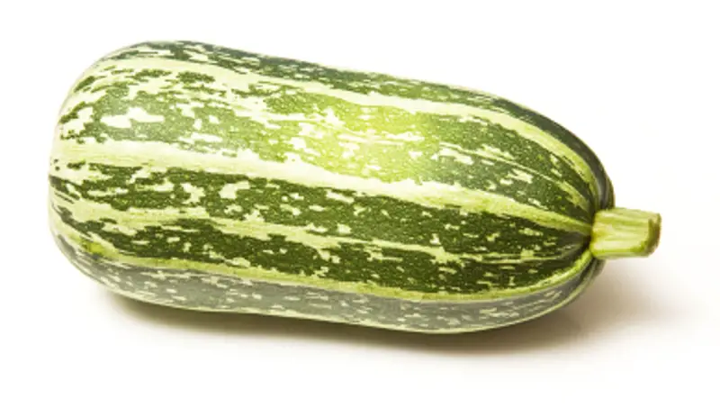 Marrow