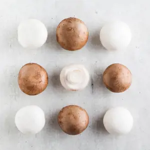 Mushrooms Complement Everything