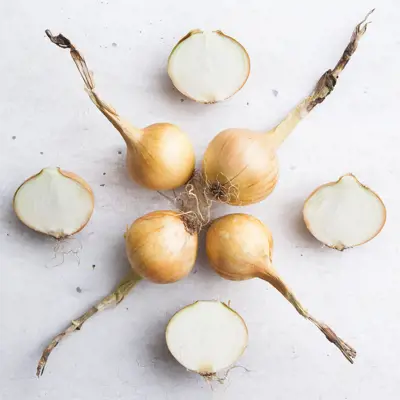 Onion