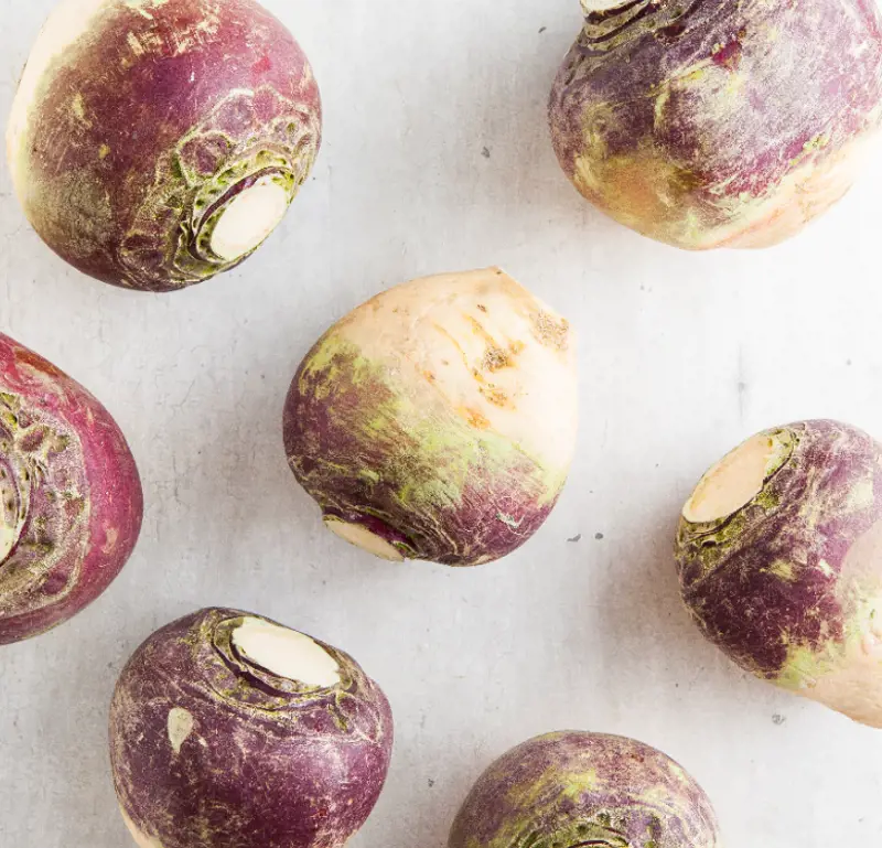 Turnip