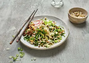 Japanese Style Beef and Vegetable Bowl