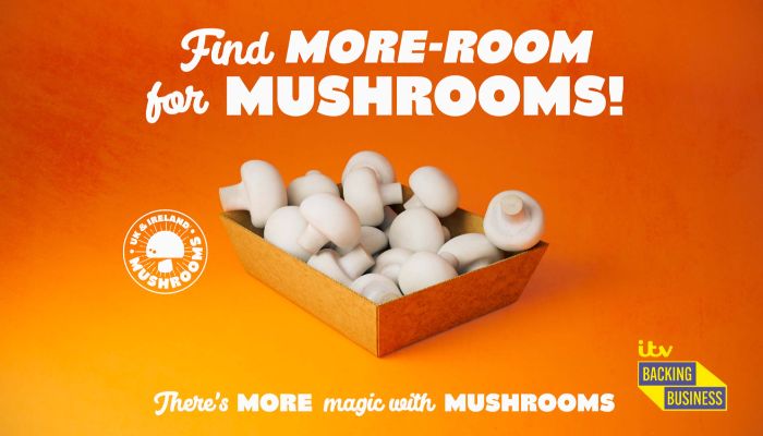 mushrooms .jpg