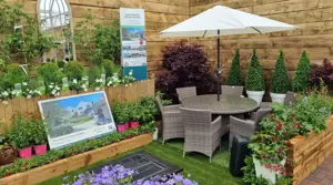 Easy Steps to Dream Gardens, Campaign Performance