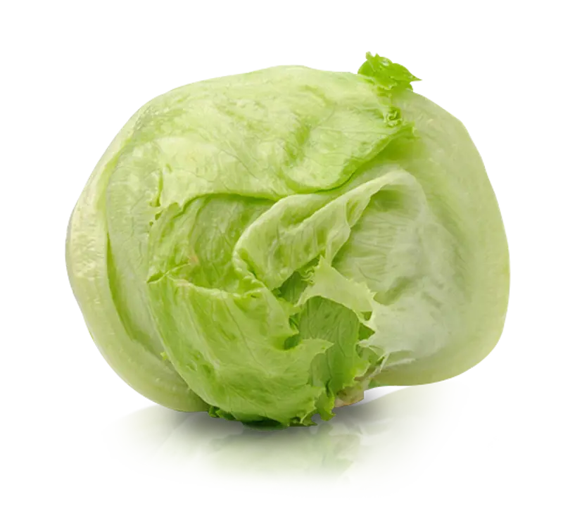 Lettuce