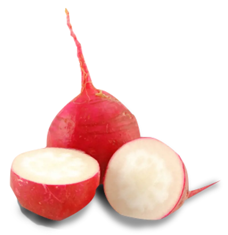 Radish