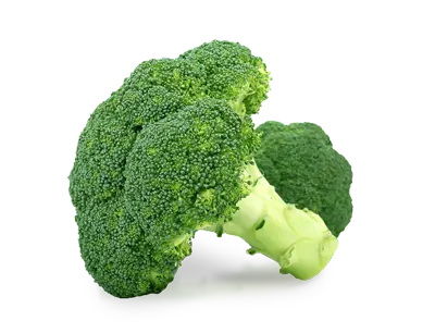 Broccoli (Green)