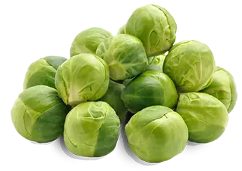 Brussels Sprouts