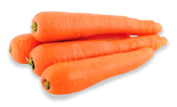 Carrot