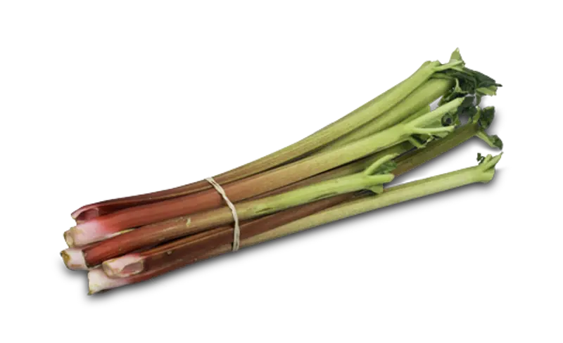 Rhubarb