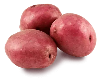 What's in Season