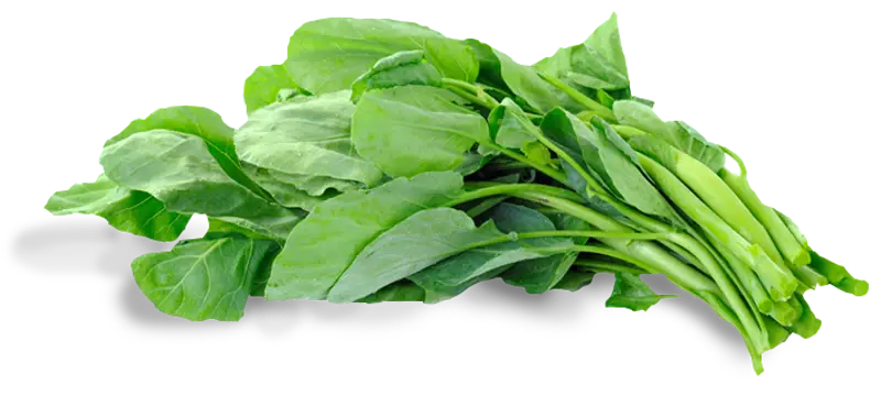 Spinach