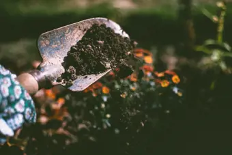Gardening by Month