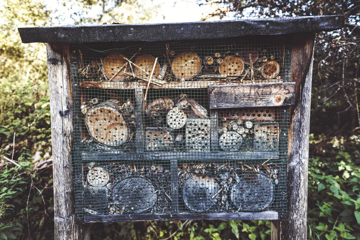 Insect Hotel.jpg