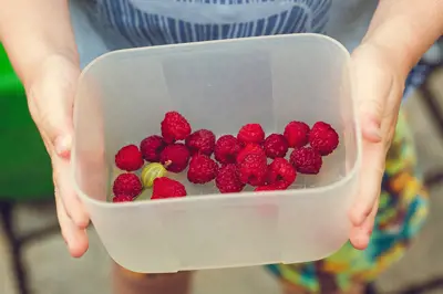 Organic Gardening for Primary Schools