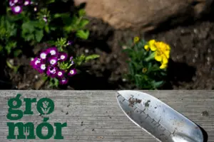 GroMor and Supergarden