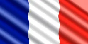 Future Proofing Toolkit - French Edition