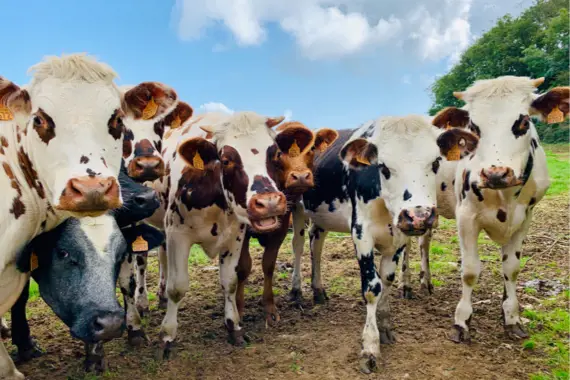 headline_10.jpg
