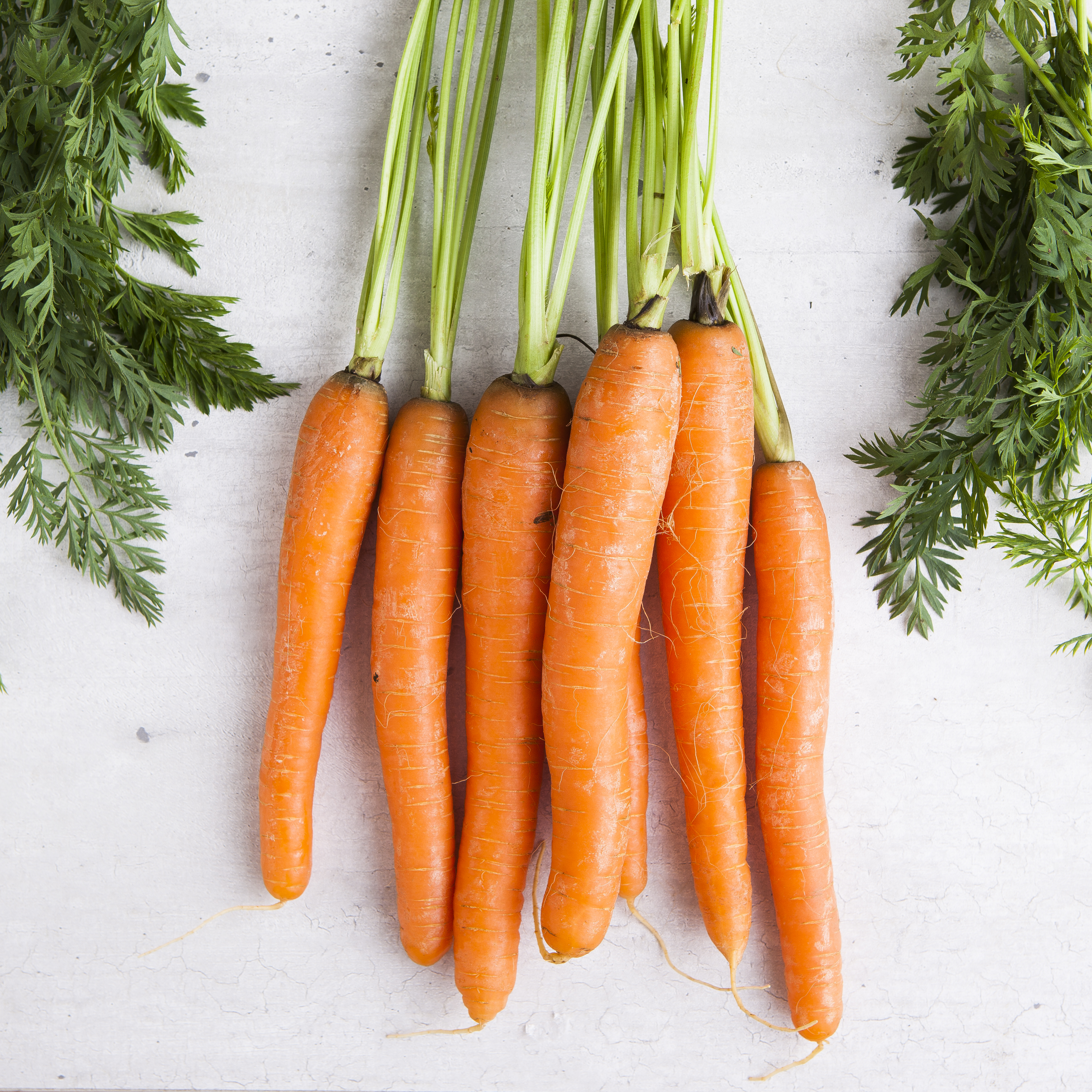 Carrots