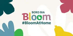 #BloomAtHome