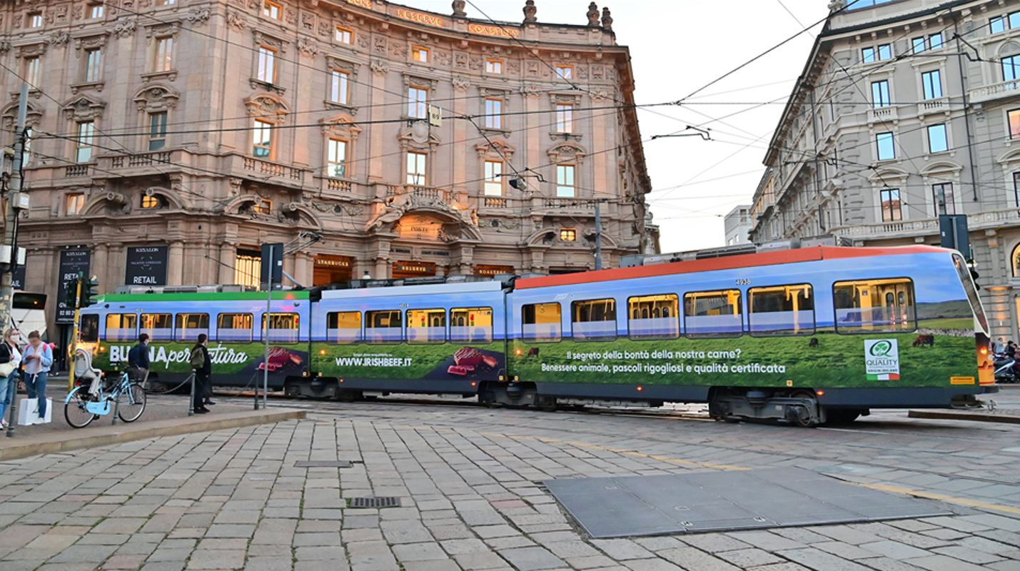 SPD PRess release.JPG