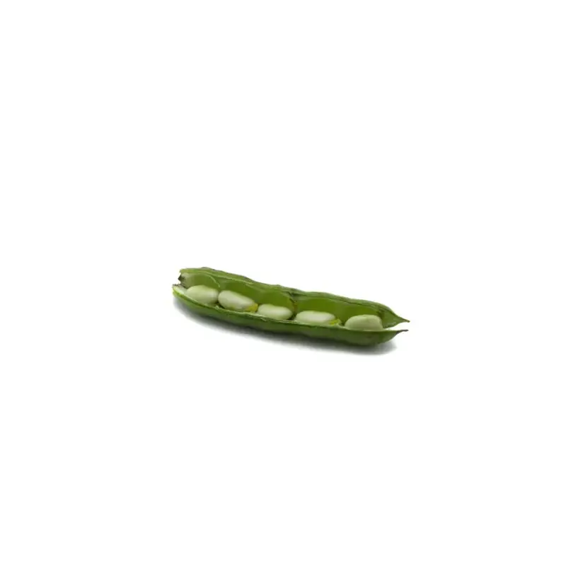 Broad Beans