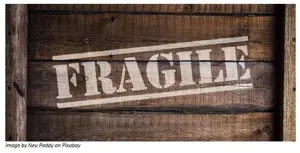 Wrapping up a Sustainable Future