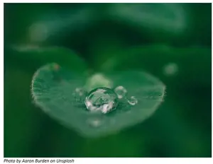 Circular Economy: The Future for the Food Industry