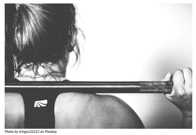 No Pain All Gain No Pain All Gain