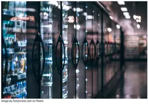 Defrosting Consumer Perceptions to Frozen Food