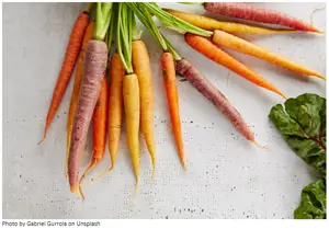 Plant-Based Diets – a 3 minute read