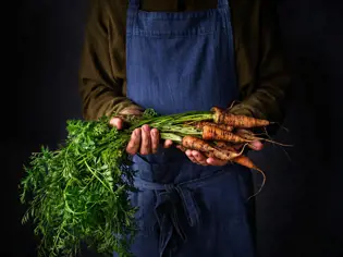 Organic carrots in farmer hands